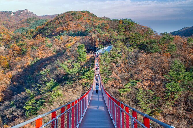 Full Day DMZ with Red Suspension Bridge Tour from Seoul - The Experience in Real Life: From Reviews to Reality