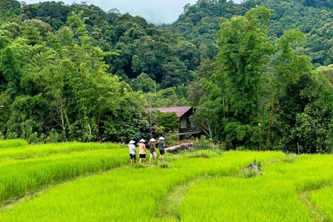 Full-Day Doi Inthanon National Park Tour with Trek and Pagodas - Frequently Asked Questions