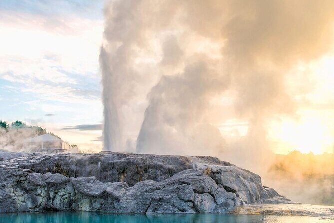 Full-Day Driver with Tesla Car-Customisable North Island Tour - Key Points