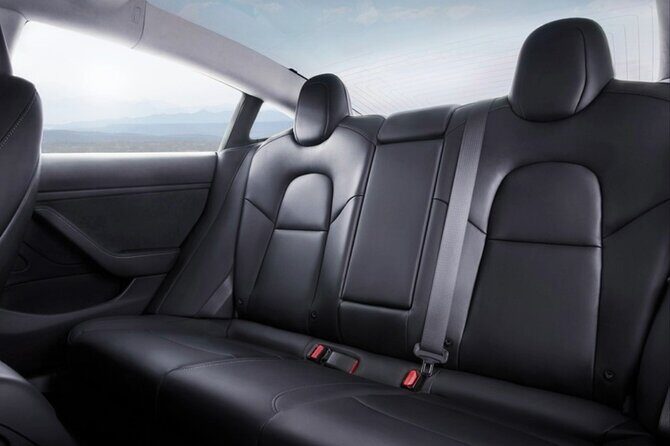 Full-Day Driver with Tesla Car-Customisable North Island Tour - Our Take on the Value and Experience