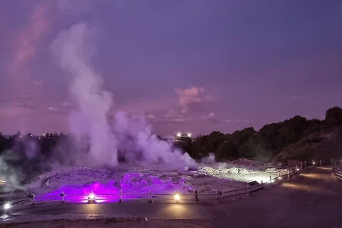 Full-Day Driver with Tesla Car-Customisable North Island Tour - Who Should Consider This Tour?