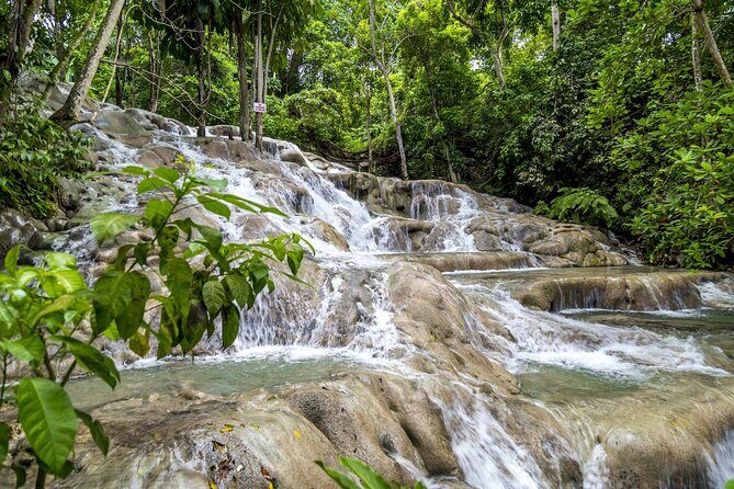 Full Day Dunn's River and Nine Miles with Lunch - An In-Depth Look at the Tour