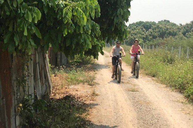 Full-day E-bike adventure Ping River and Nam Phrae (flat-hilly, GUIDED) - Price and Overall Value