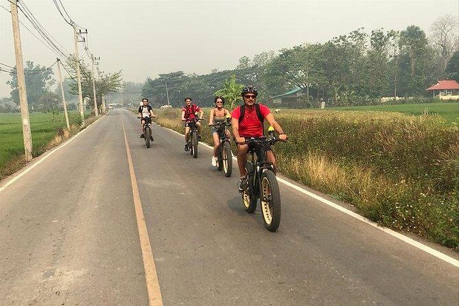 Full-day E-bike adventure Ping River and Nam Phrae (flat-hilly, GUIDED) - The Sum Up