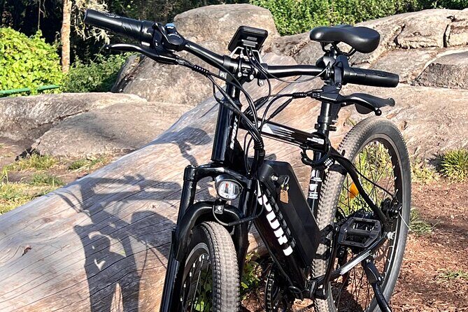 Full Day E-Bike Rental in San Francisco Charger Included! - An Honest Look at the E-Bike Rental Experience