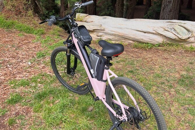 Full Day E-Bike Rental in San Francisco Charger Included! - FAQ