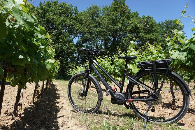 Full day E-Bike rental in the Luberon - What to Expect from the Itinerary