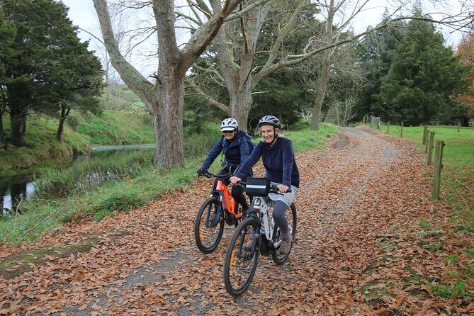 Full Day Ebike Tour in Karangahake Gorge (ex Auckland) - Who Will Love This Tour?
