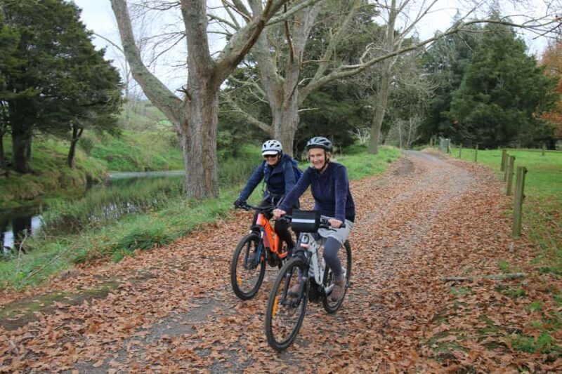 Full Day Ebike Tour - Karangahake Gorge NZ - Key Points