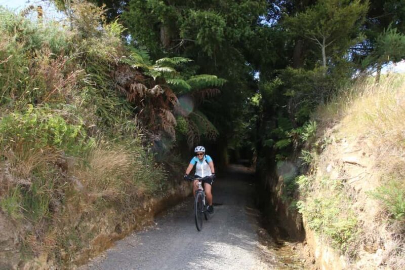 Full Day Ebike Tour - Karangahake Gorge NZ - An In-Depth Look at the Karangahake Gorge Ebike Tour