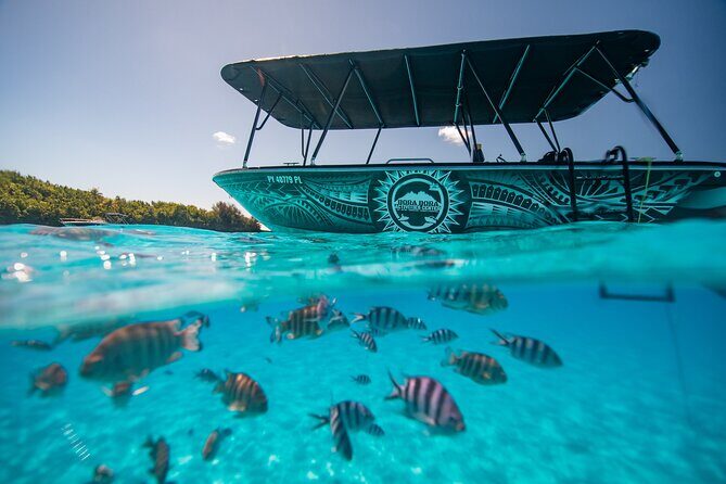 Full Day Eco Snorkeling & Traditional BBQ Lunch on a Motu - An In-Depth Look at the Bora Bora Eco Snorkeling & BBQ Tour
