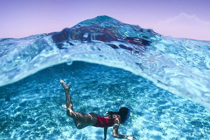 Full-Day El Cielo Snorkel Tour in Cozumel with Transportation and Lunch - Key Points