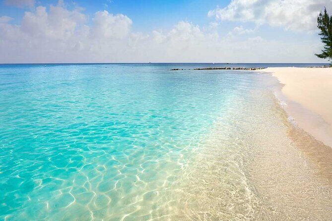 Full-Day El Cielo Snorkel Tour in Cozumel with Transportation and Lunch - The Experience in Detail