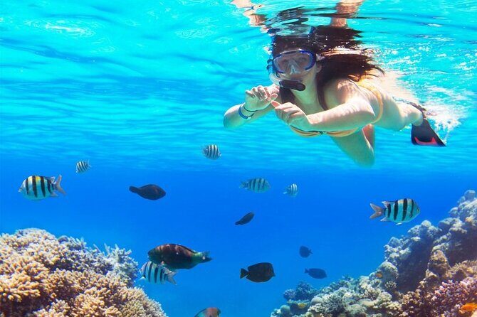 Full-Day El Cielo Snorkel Tour in Cozumel with Transportation and Lunch - FAQ