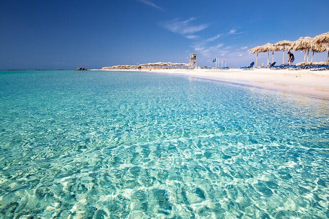 Full Day Elafonissi Beach & Honey Tour - Who Should Consider This Tour?