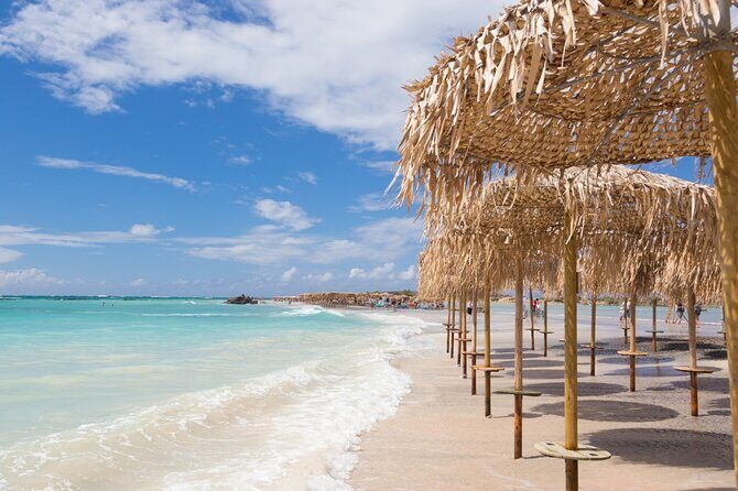 Full Day Elafonissi Beach & Honey Tour - The Sum Up