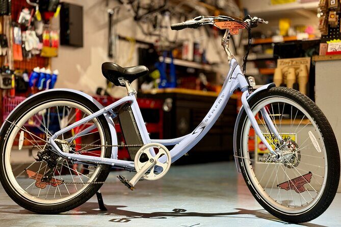 Full Day Electric Bike Rental in Galveston Texas - Potential Drawbacks & Considerations