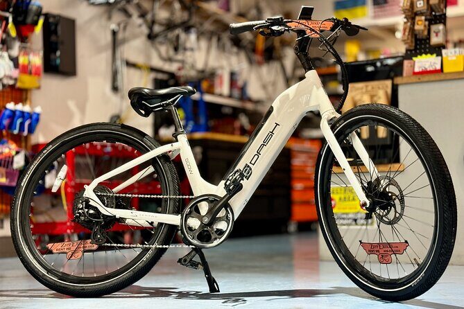 Full Day Electric Bike Rental in Galveston Texas - The Experience Provider: Who’s Behind It?