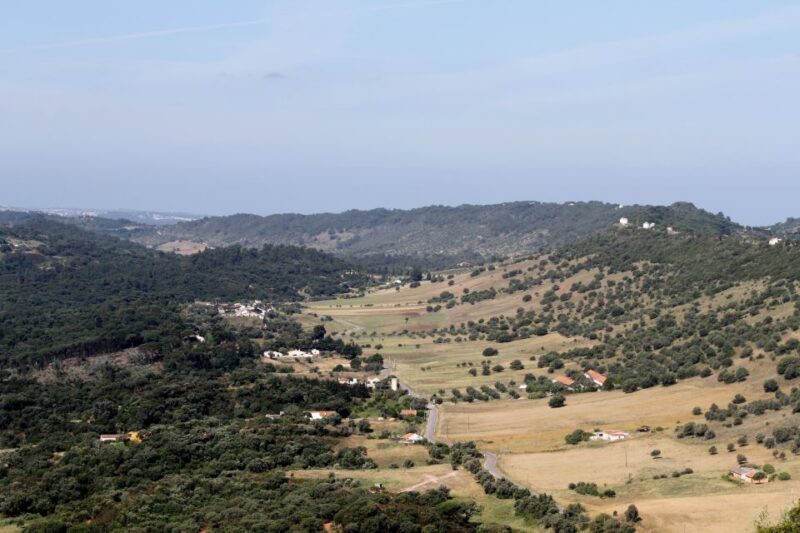 Full-Day Electric Bike Tour: Arrábida Nature Park - What We Think About the Price and Value