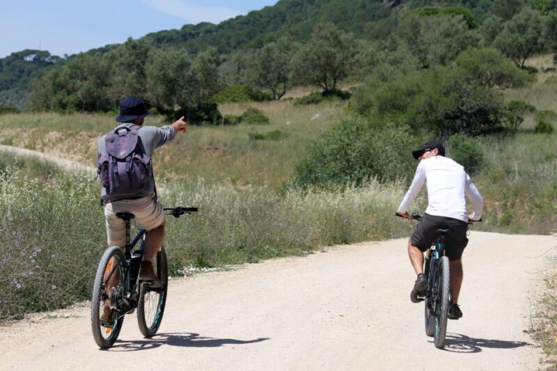 Full-Day Electric Bike Tour: Arrábida Nature Park - Final Thoughts