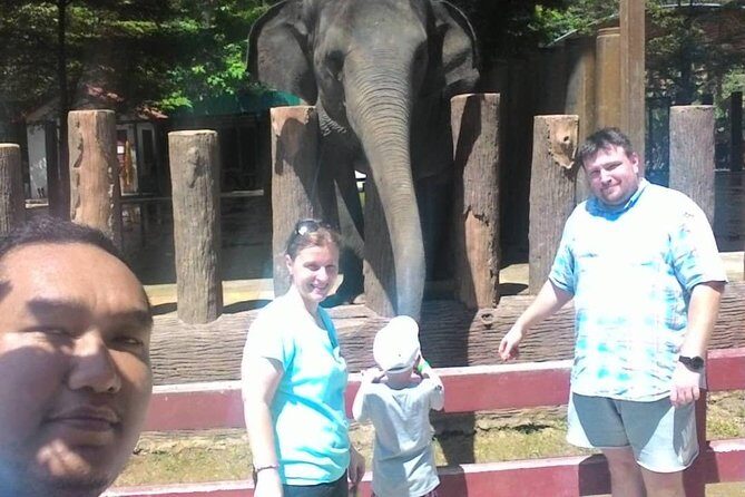 Full Day Elephant Sanctuary Tour with a Free Batu Caves Visit - The Sum Up: Who Is This Tour Best For?
