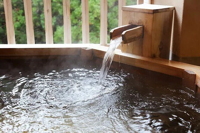 Full-Day Enoura Observatory and Hakone Hot Spring Private Tour - Practicalities and What to Expect