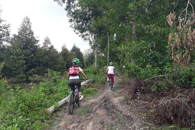 Full Day Experience Mekong Delta By Bike, Boat and Kayak. - Who Will Love This Tour?