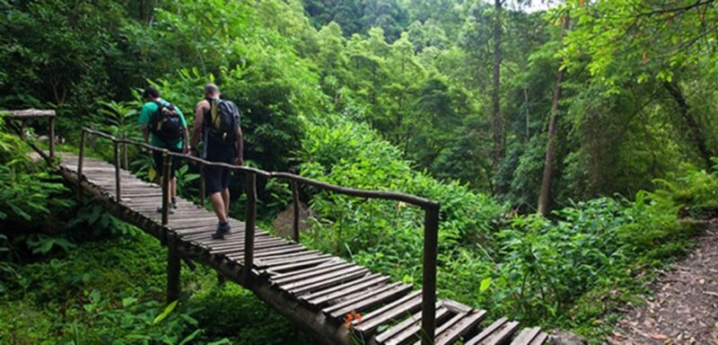 Full-Day Faial da Terra + Nordeste from Ponta Delgada - The Sum Up