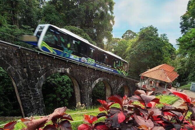 Full Day Flexi Private Tour in Penang Island with Pickup - What Makes This Tour Stand Out?
