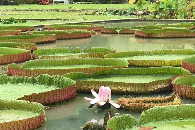 Full Day Flexi Private Tour in Penang Island with Pickup - FAQs