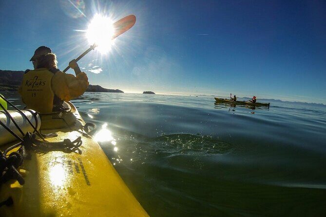 Full-Day Freedom Kayak Rental in New Zealand - Practical Details That Matter