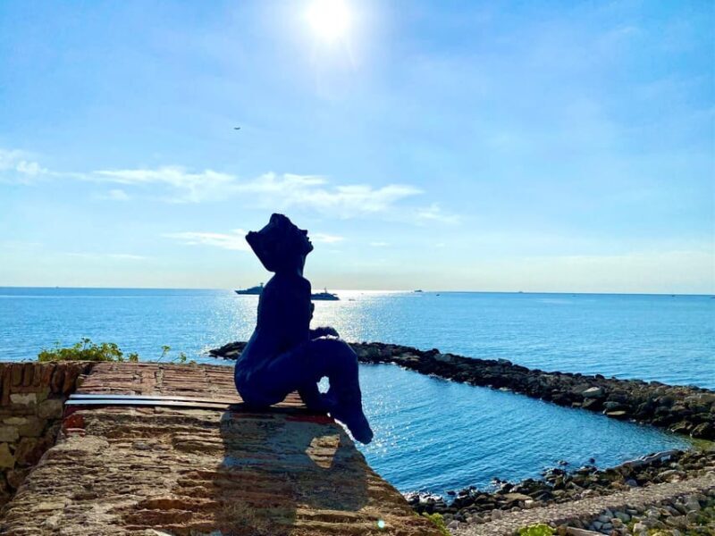 Full day French Riviera Panorama Tour - Final Thoughts