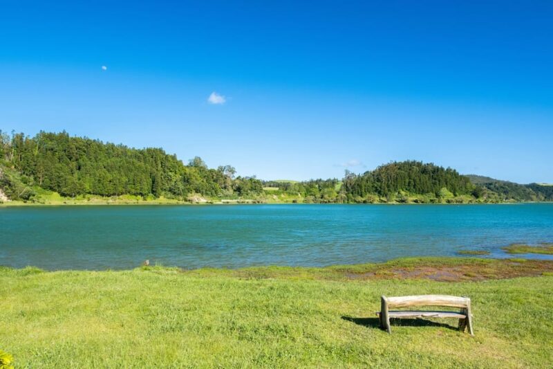 Full Day: Furnas, Tea Plantations & More With Lunch - Exploring São Miguel’s Diverse Landscape in a Single Day