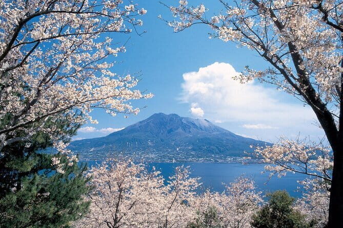 Full-Day Gastronomic Kagoshima Adventure by Private Vehicle - A Deep Dive into the Kagoshima Full-Day Tour
