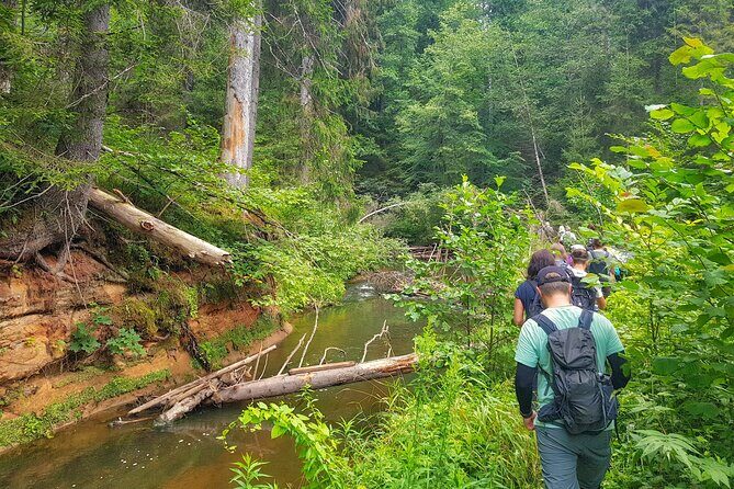 Full Day Gauja National Park Ultimate Hiking & Sightseeing Trip - Key Points