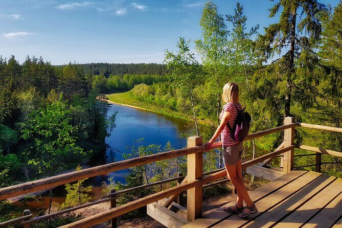 Full Day Gauja National Park Ultimate Hiking & Sightseeing Trip - An In-Depth Look at the Gauja National Park Tour