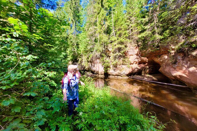 Full Day Gauja National Park Ultimate Hiking & Sightseeing Trip - Who Should Book This Tour?