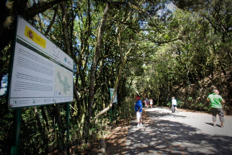 Full-Day Gomera Jeep Safari Excursion from Arona - Key Points