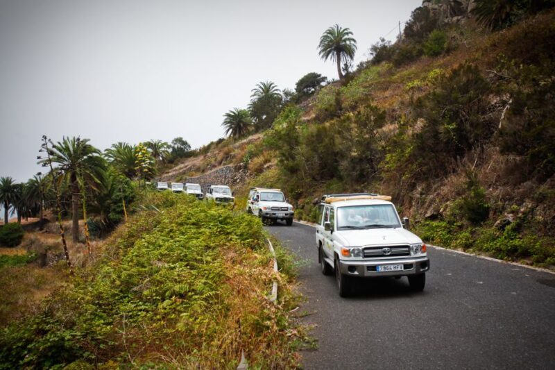 Full-Day Gomera Jeep Safari Excursion from Arona - An In-Depth Look at the Trip