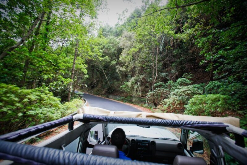 Full-Day Gomera Jeep Safari Excursion from Arona - The Sum Up