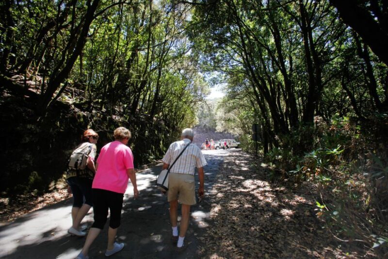 Full-Day Gomera Jeep Safari Excursion from Arona - FAQ