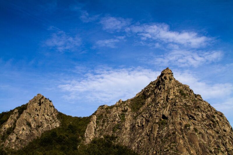 Full-Day Gomera Jeep Safari from Puerto de La Cruz - Authentic Experiences and Reviewer Insights