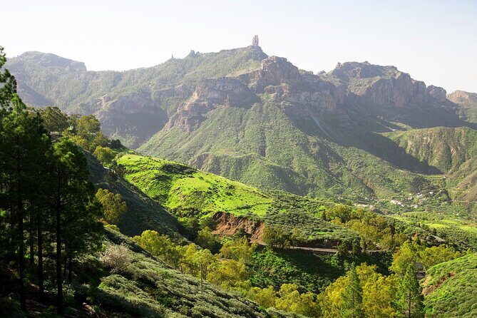 Full-Day Gran Canaria Tour with Teror, Tejeda and Lunch in Fataga - Who Will Love This Tour?