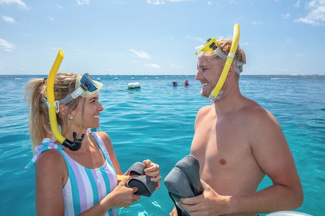 Full-Day Great Barrier Reef Pontoon with Snorkeling & Activities - The Reef: What You’ll See and Experience