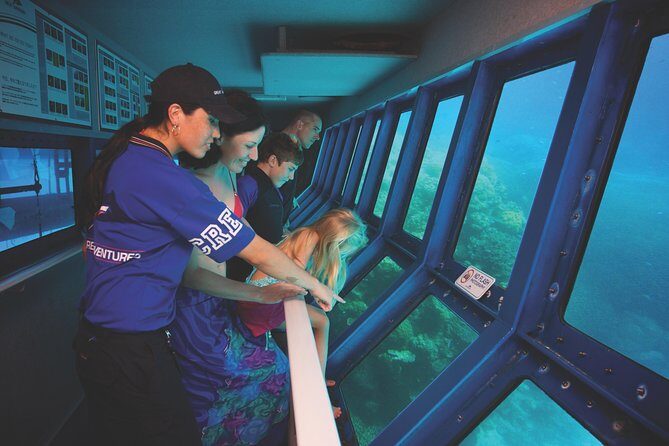 Full-Day Great Barrier Reef Pontoon with Snorkeling & Activities - Authentic Feedback from Travelers