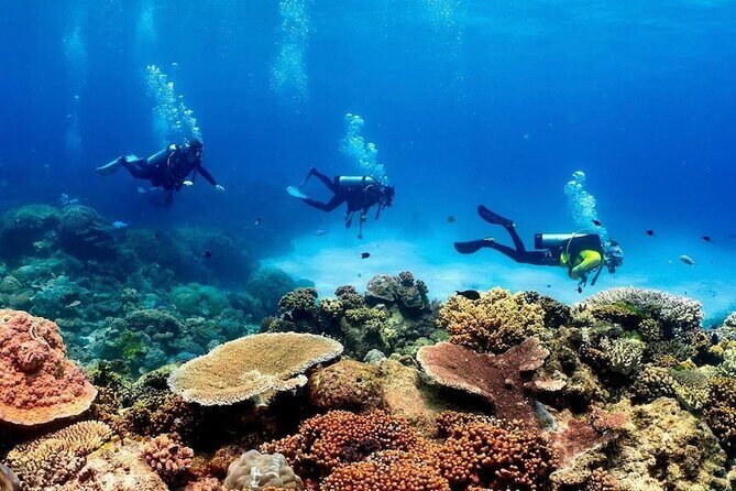 Full-Day Great Barrier Reef Pontoon with Snorkeling & Activities - FAQ