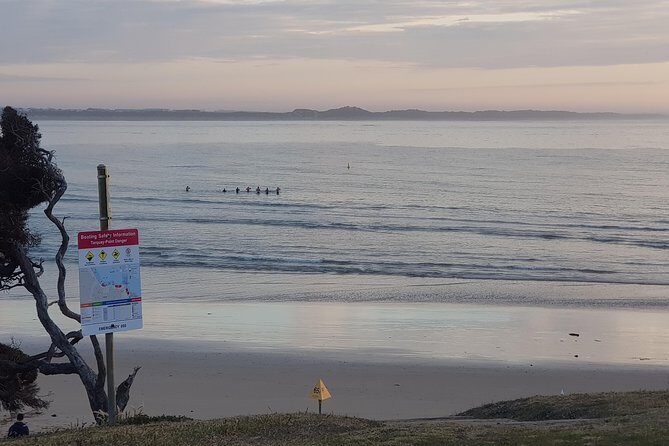 Full-Day Great Ocean Road Tour from Melbourne - An Overview of the Tour Experience