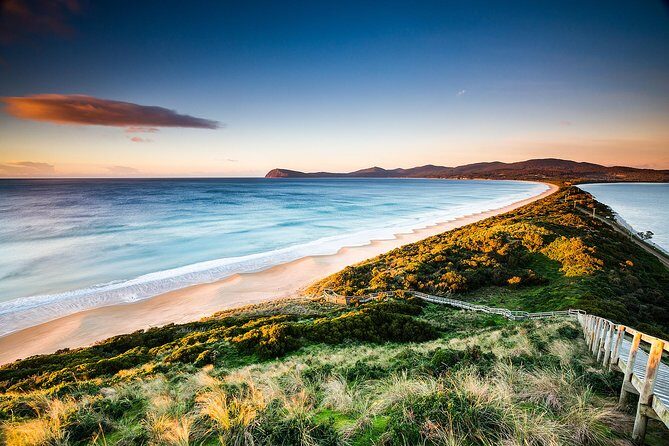 Full-Day Guided Bruny Island Tour from Hobart - Key Points