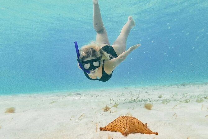 Full Day Guided Experience to El Cielo at Cozumel - Key Points