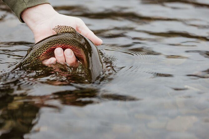 Full Day Guided Fly Fishing Trip Drift Boat - Practical Details and Logistics